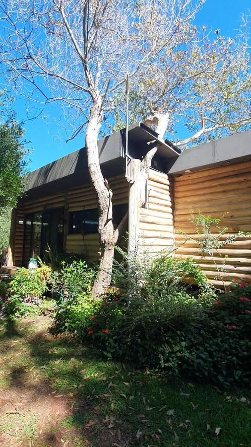Chalet Los Troncos Sauce de Portezuelo Eksteriør billede