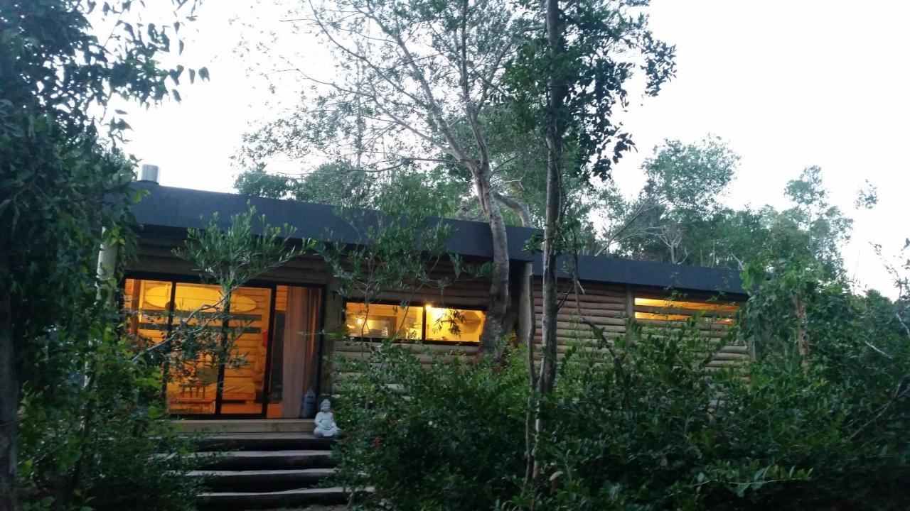Chalet Los Troncos Sauce de Portezuelo Eksteriør billede